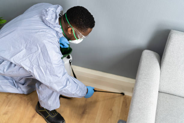 Emergency Pest Control in Waldwick, NJ